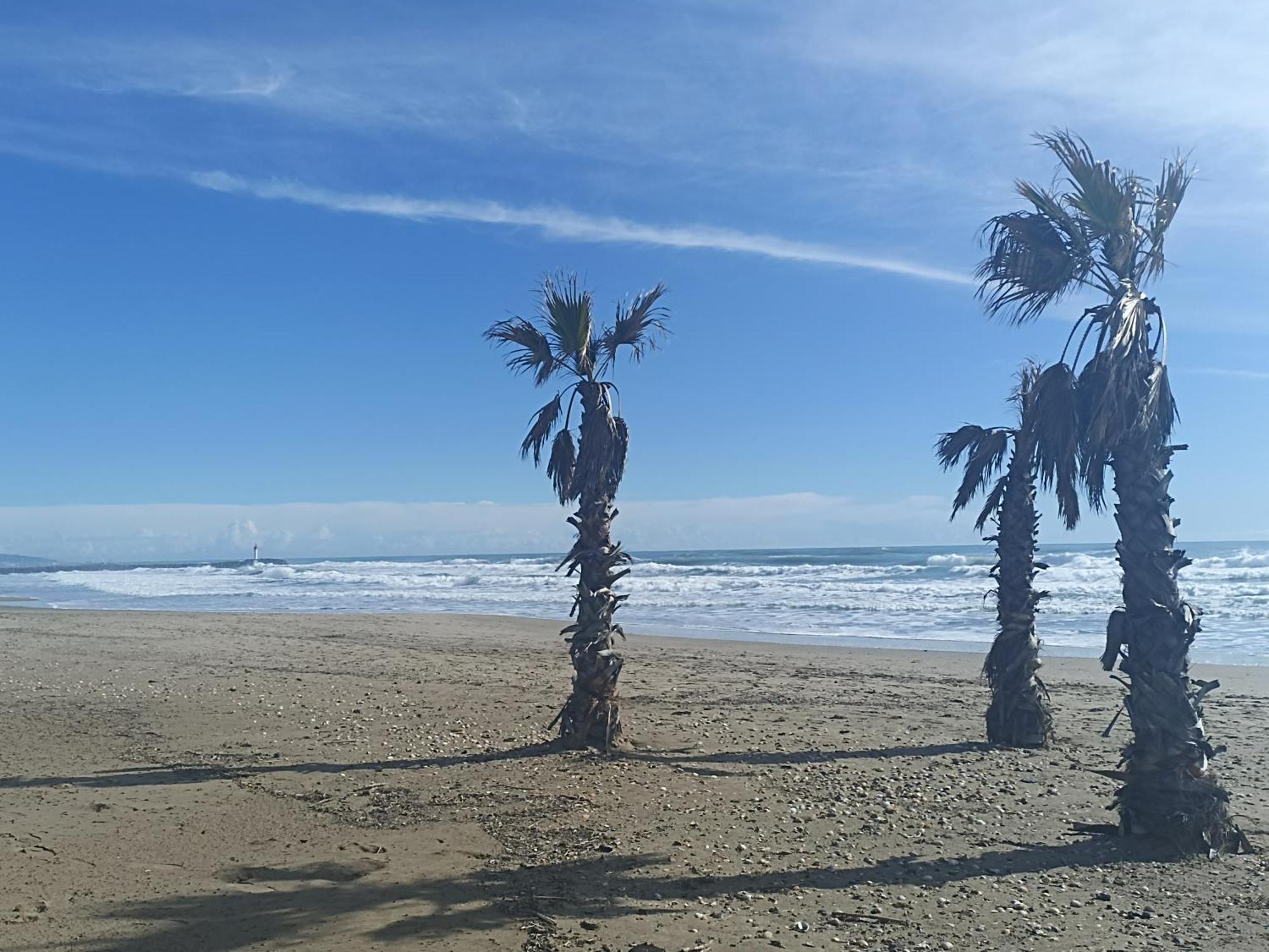 Cap D'Agde Port Lano T2 Clim, Piscine, Tennis Et Parking מראה חיצוני תמונה